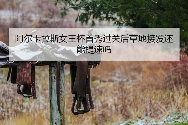 a-er-ka-la-si-nv-wang-bei-shou-xiu-guo-guan-hou-cao-di-jie-fa-huan-neng-ti-su-ma-2-121.jpg