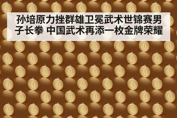 孙培原力挫群雄卫冕武术世锦赛男子长拳 中国武术再添一枚金牌荣耀